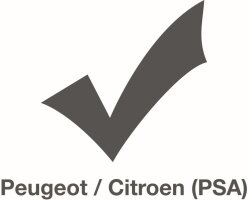 BGS - Peugeot / Citroen (PSA)